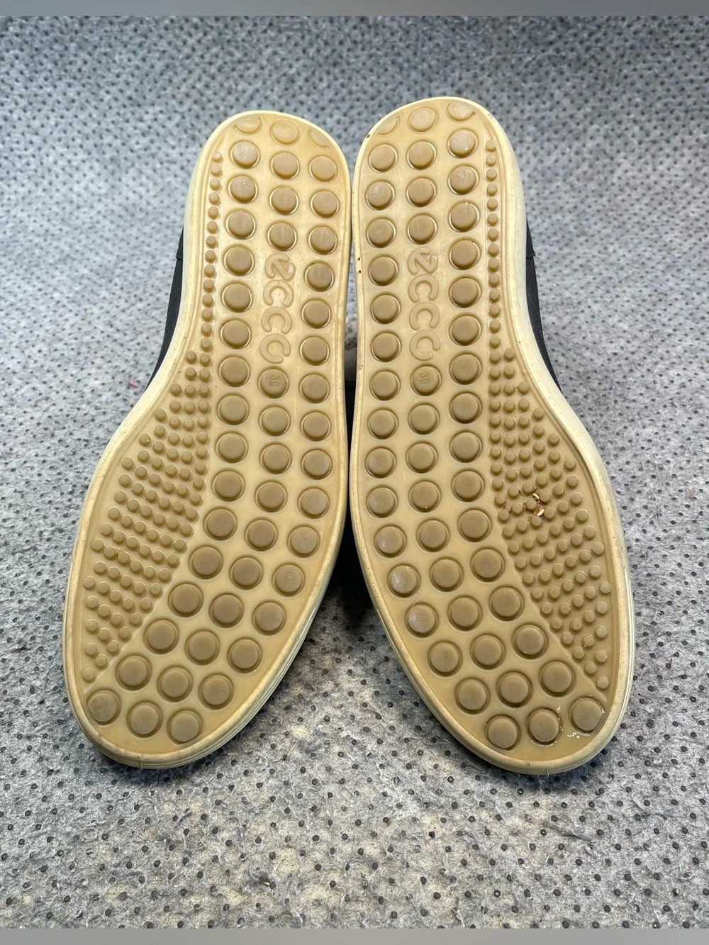 Ecco soft high
